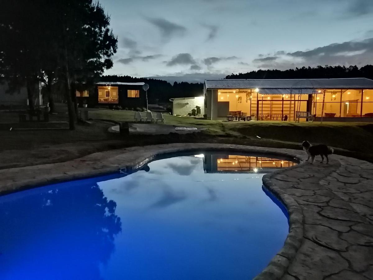 Dargle Forest Lodge Екстериор снимка