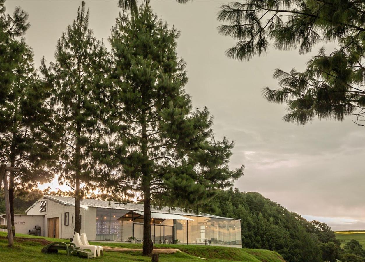 Dargle Forest Lodge Екстериор снимка