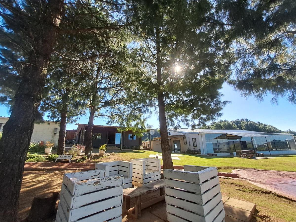 Dargle Forest Lodge Екстериор снимка