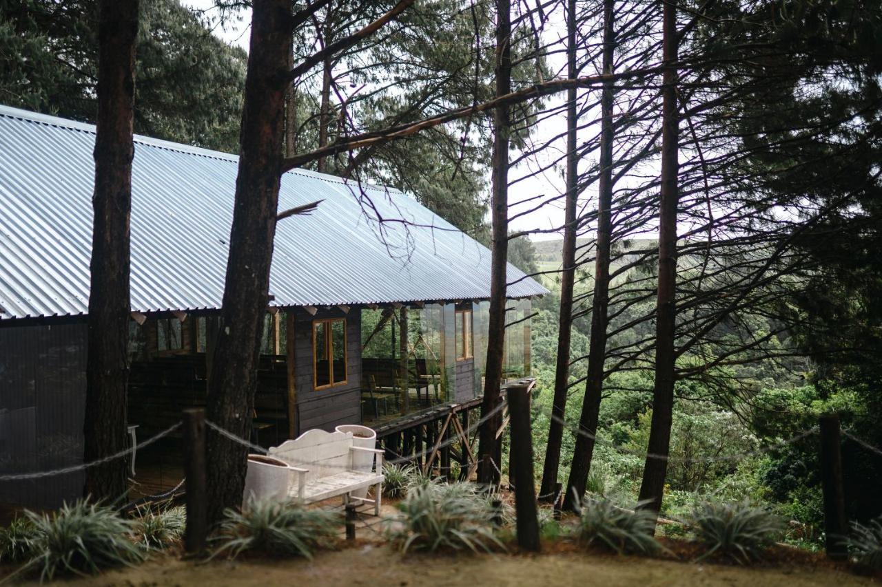 Dargle Forest Lodge Екстериор снимка