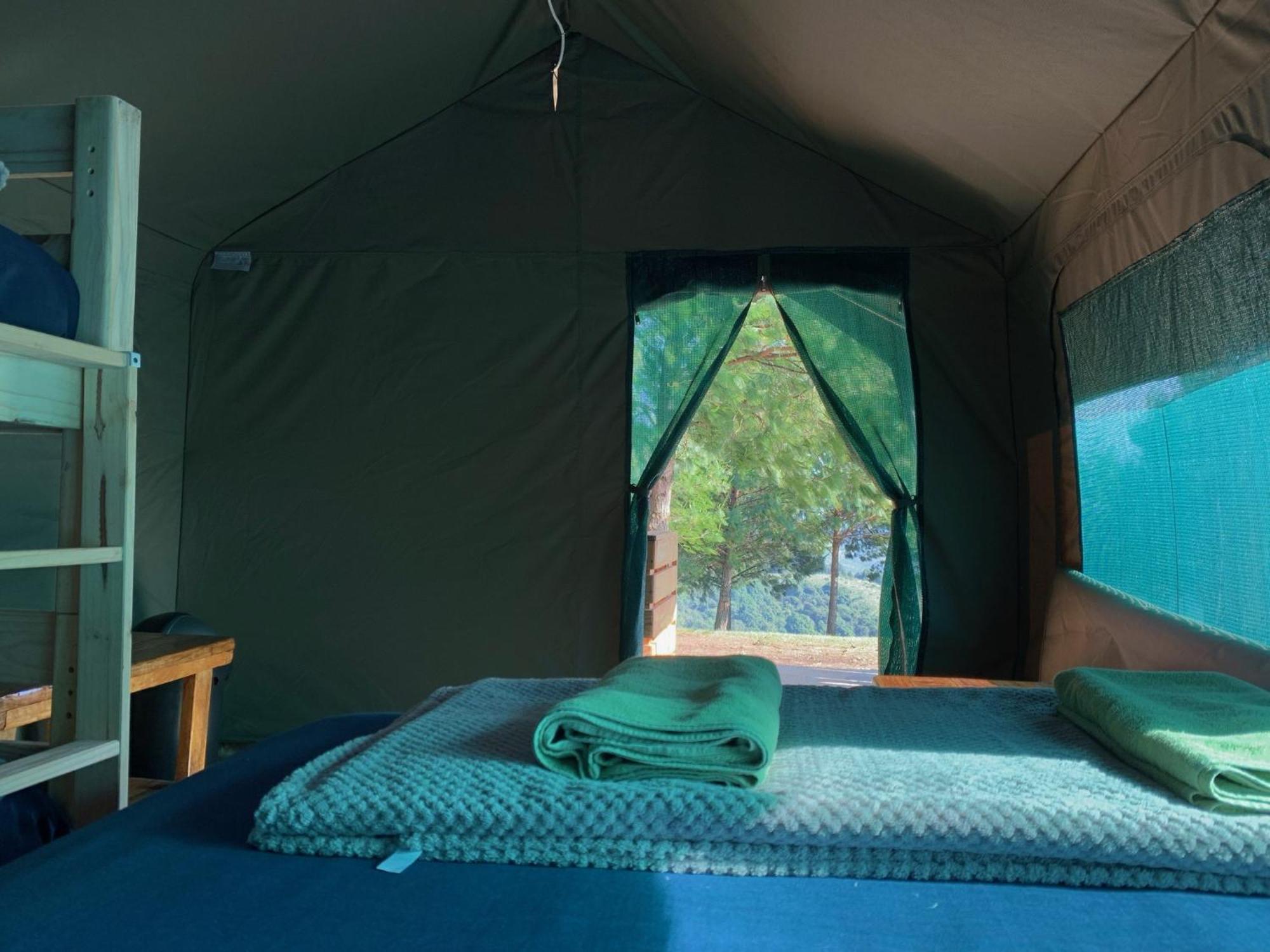 Dargle Forest Lodge Стая снимка