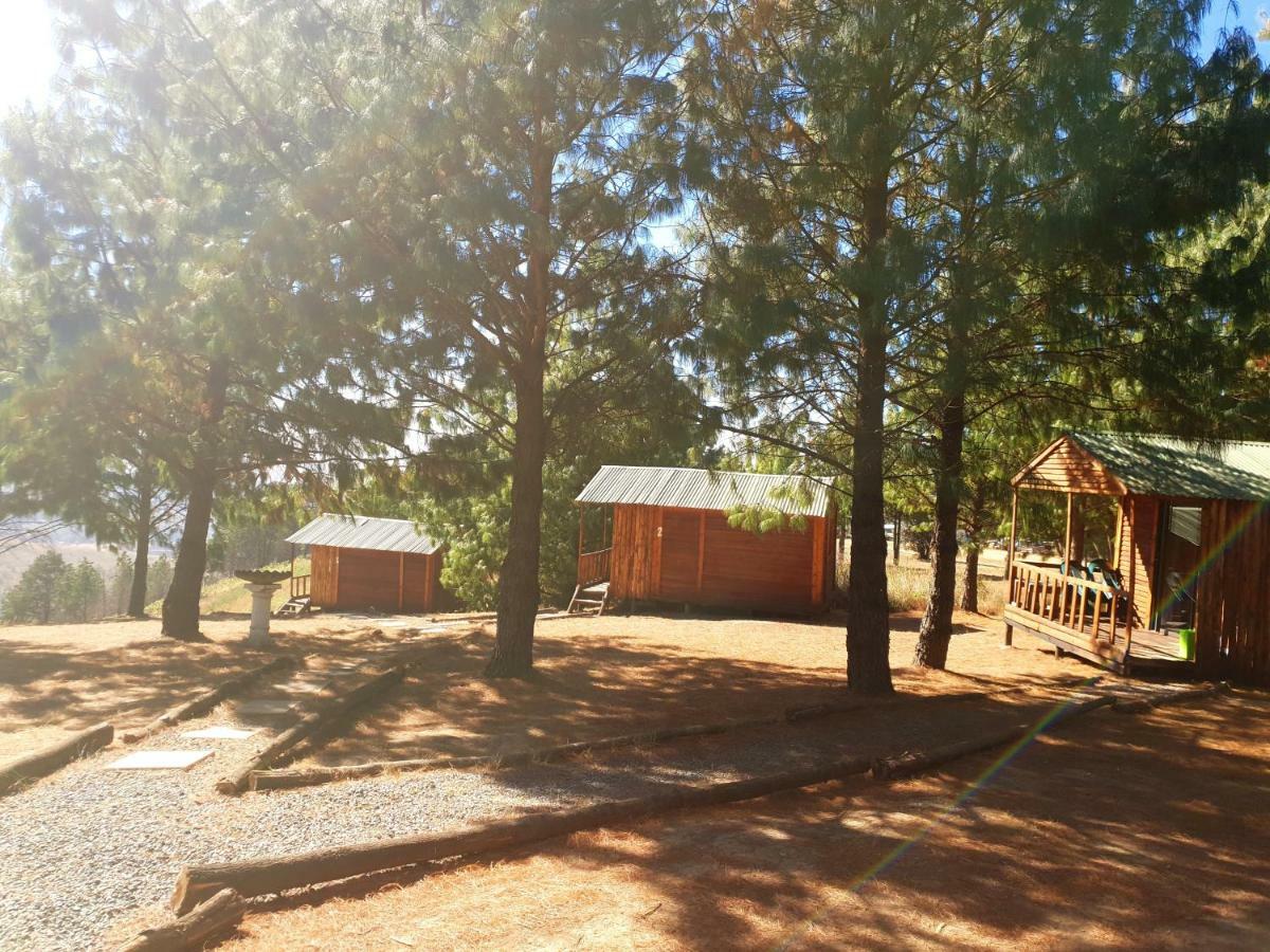 Dargle Forest Lodge Екстериор снимка