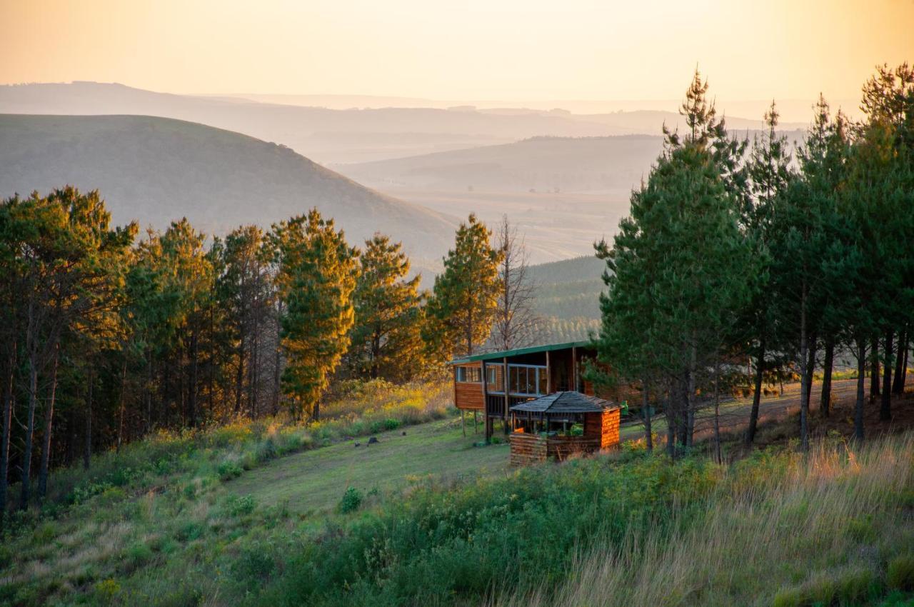 Dargle Forest Lodge Екстериор снимка